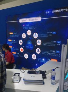 聚合支付技術(shù)亮相首屆數(shù)字中國建設(shè)峰會，四九八網(wǎng)絡(luò)科技引領(lǐng)網(wǎng)絡(luò)服務(wù)創(chuàng)新