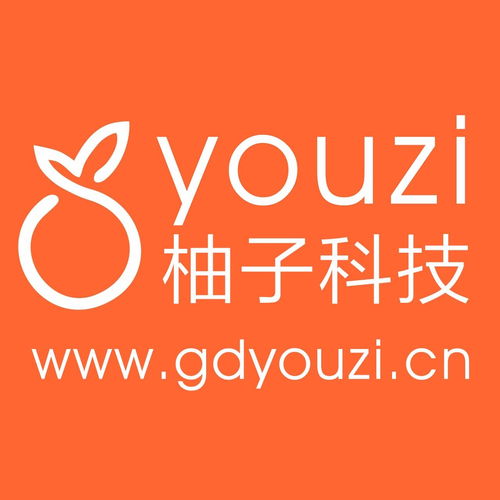 廣東柚子網(wǎng)絡(luò)科技 賦能企業(yè)數(shù)字化轉(zhuǎn)型的本地化網(wǎng)絡(luò)技術(shù)服務(wù)專家